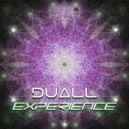 Duall - Freezing Rain (Original Mix)