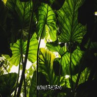 Draud - Warehouse Jam