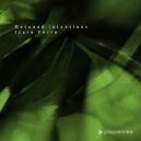 Icaro Ferre - Detuned Intentions
