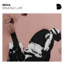 2SOUL - What the f__k