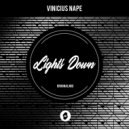 Vinicius Nape - Lights Down