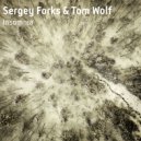 Sergey Forks & Tom Wolf - Insomnia (Melody of Elements remix)