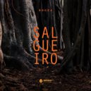 Rocca - Salgueiro