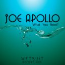 Joe Apollo - What You Need (Original Mix)