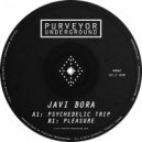 Javi Bora - Pleasure (Original Mix)
