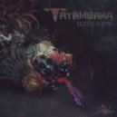 Tryambaka - Complexor