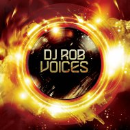 DJ Rob - Voices