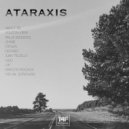 Anluk Sequence - Artforms