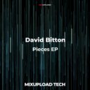 David Bitton - Sultan\'s Dance (Original Mix)