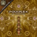 Polyplex - In Havana