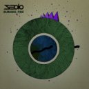 Seolo - Burning Fire (Radio Edit)