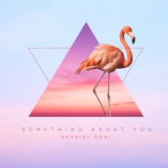 Gabriel Boni - Something About You