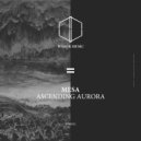 Mesa - IonField (Original mix)