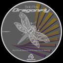 Bob Ray - Dragonfly