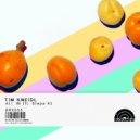Tim Kneidl & Stepa K - All In (feat. Stepa K) (Original Mix)