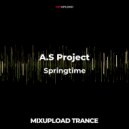 A.S Project - Springtime
