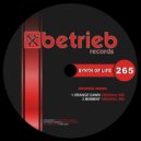 Synth Of Life & Tom Virgo - Moment