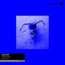 SaseK - Technocracy
