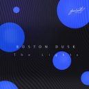 Boston Dusk - Wrong Hat