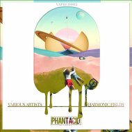 Phouz - Resistance