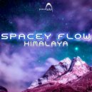 Spacey Flow - Burundi Tribe (Original Mix)