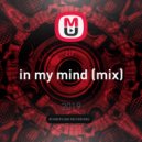 zir - in my mind