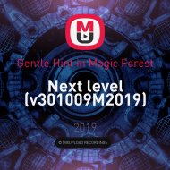 Gentle Hint in Magic Forest - Next level