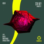 Stiv Hey - Just A Dream