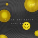 Misha Gramotin - Acid Book (Bolgarin \'trip report\' mix)