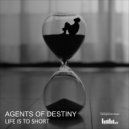 Agents Of Destiny - Morphologia Do Chaos