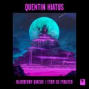 Quentin Hiatus - Ever So Evolved (Original Mix)