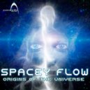 Spacey Flow - Origins Of The Universe (Original Mix)