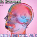 DJ Ornament - Drum & Bass Waves. Vol. 5 ()