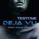 Testone & Diana Miro - Deja Vu (feat. Diana Miro) (Summer Piano Mix)