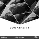 PurBlind - Madison (Original Mix)
