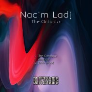 Nacim Ladj - Dark Road