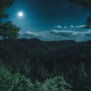 P.Andonov - Full Moon Blue & White