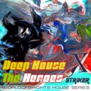 Nick Wowk - Deep House The Heroes Vol. X STRIKER VDJ SET ((March 2019 Oasis Cafe Moscow))
