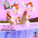 Zukk - This Is House