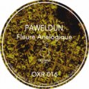 PAWELDUN - Fleure Analogique (Original Mix)