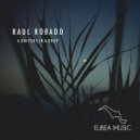 Raul Robado - A Univers In A Drop