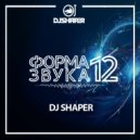 Dj Shaper - Форма Звука 12