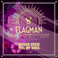 Shugar House - Feel My Vibes
