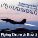 DJ Ornament - Flying Drum & Bass 3