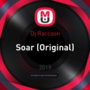 Dj Vl Raccoon - Soar