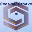 Sentinel Groove - What Bam Bam. (Original Mix)