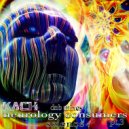 kach - neurology consumers pt.3
