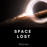 Phylum - Beyond Gravity
