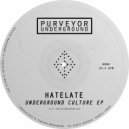 HateLate - UnderGroove (Dub)