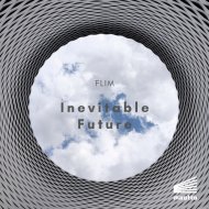 Flim - Fever Night